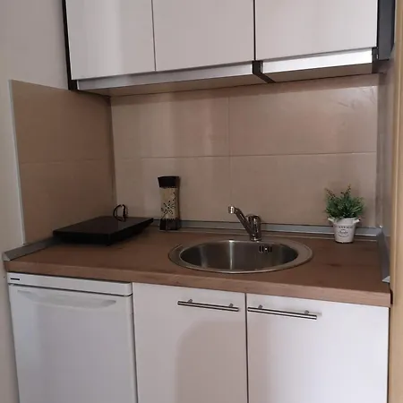 Apartment Orijent *